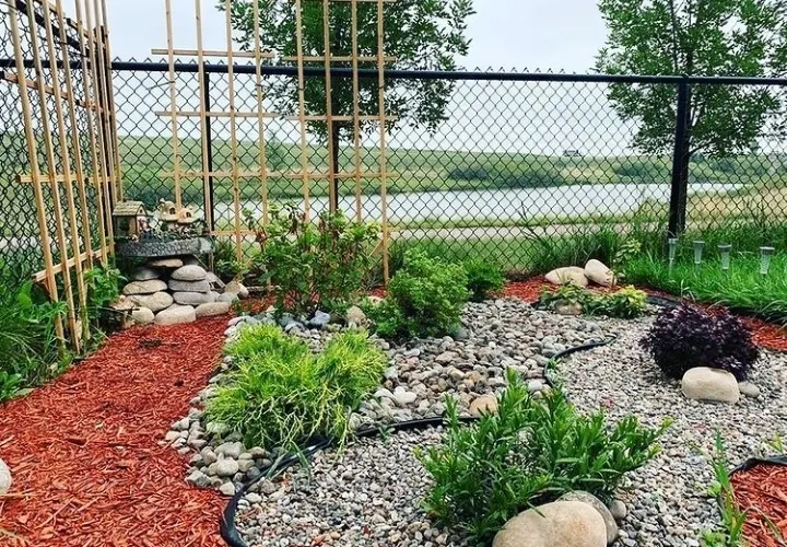Decorative Rocks & Planters